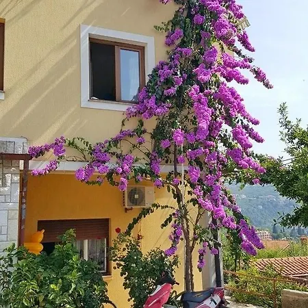 Appartement Danijel *