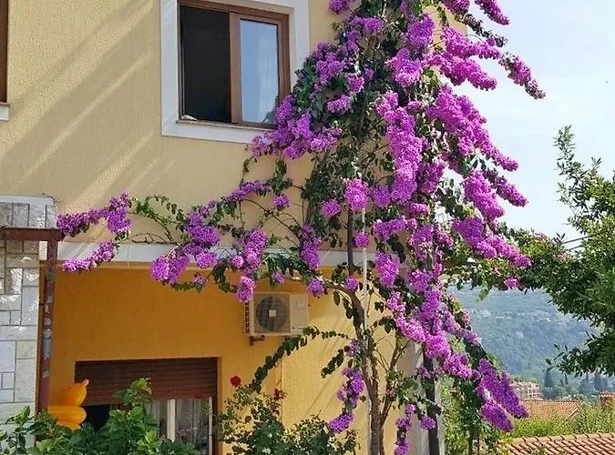 Appartement Danijel *